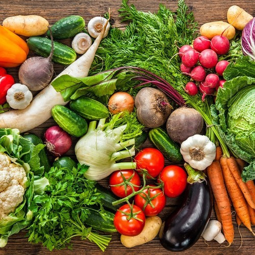 Tickets kaufen für Große Saisongartenparzelle 2026 am 01.05.2026 Tickets kaufen für Große Saisongartenparzelle 2026 am 01.05.2026